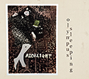 RAZORLIGHT / Carry Yourself