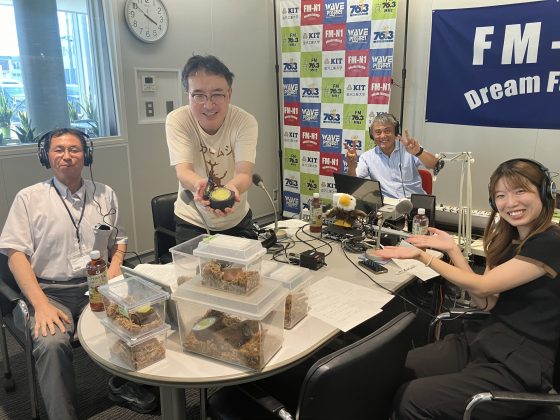 ののいちde難関突破　ゲスト　金沢工業大学むしの会　会長　島谷 祐司 さん　　副会長　平野 徳之 さん 　9/23放送